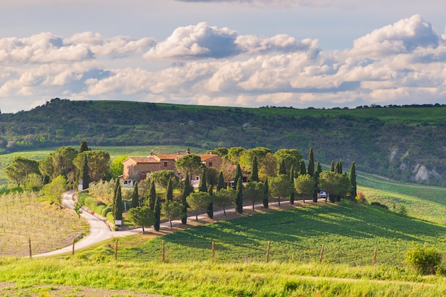 Paesaggio verde unico in val d'orcia, toscana, italia. drammatico cielo al tramonto, strada sterrata e fattoria in collina coltivata e campi coltivati a cereali.