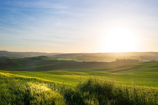 이탈리아 오르시아 밸리 투스카니(Orcia Valley Tuscany Italy)의 독특한 녹색 풍경 경작된 언덕과 곡물 농경지 위에 안개와 안개가 있는 아침 햇살