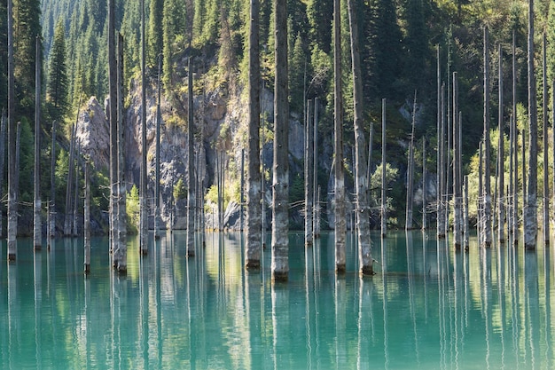 unique mountain lake of Kaindy in Kazakhstan with a sunken forest