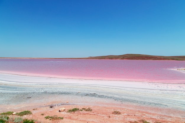 Photo unique salty pink lake in crimea.