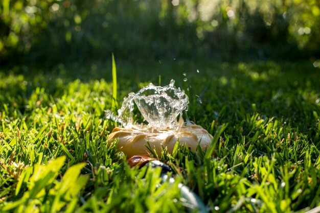 Universele tuinsproeier op een groen gazon met een waterfontein