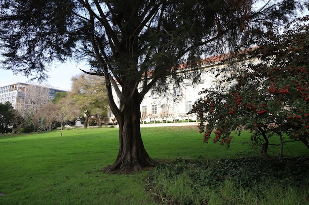 University of Califfornia at Berkeley Campus