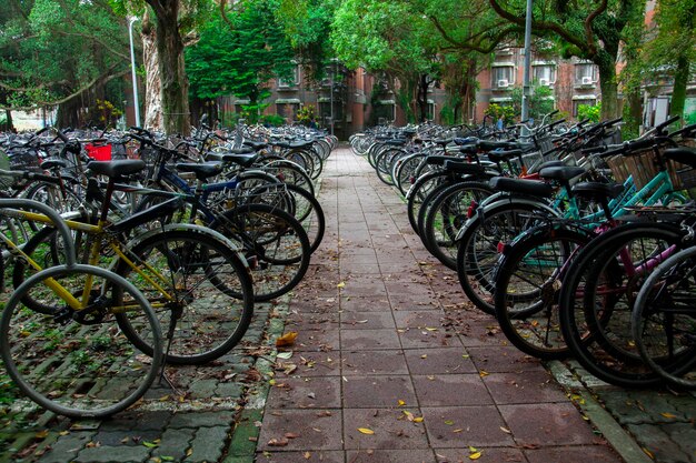 University campus bicycle parking lot bicycle