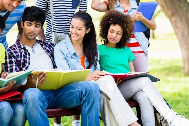 Photo university students studying on bench