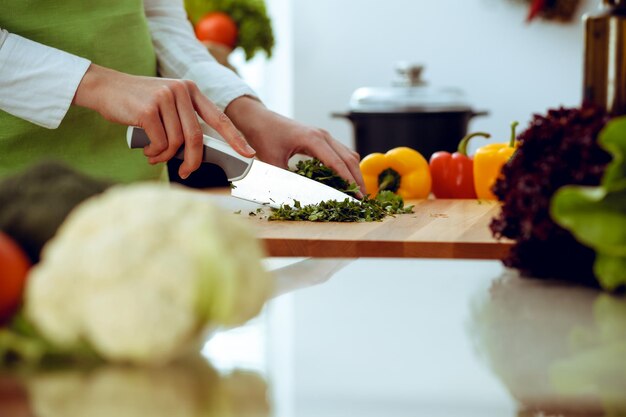 Unknown human hands cooking in kitchen. Woman is busy with vegetable salad. Healthy meal, and vegetarian food concept.