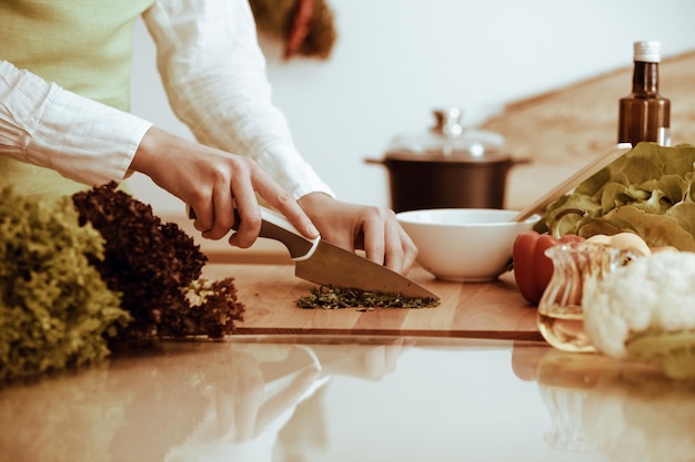 Unknown human hands cooking in kitchen. Woman is busy with vegetable salad. Healthy meal, and vegetarian food concept.