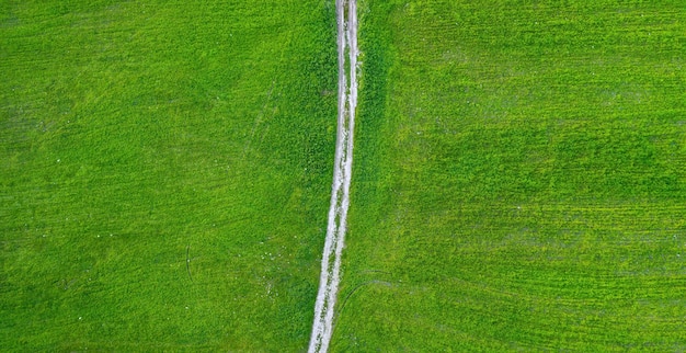 真上からの緑のフィールドビューを横切るタイヤトラックのある未舗装道路