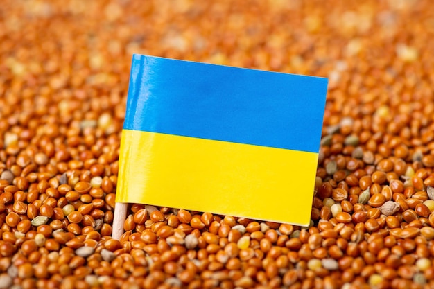 Unpeeled millet grain in a bag with small flag of Ukraine growing millet concept