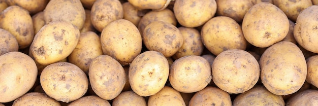 Unpeeled raw potatoes at vegetable market potato benefits and harm concept