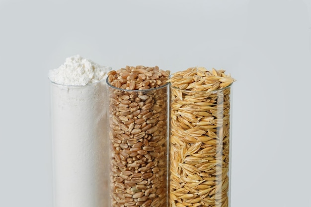 Unpeeled wheat grain in a glass flask peeled wheat grain flour on a white background