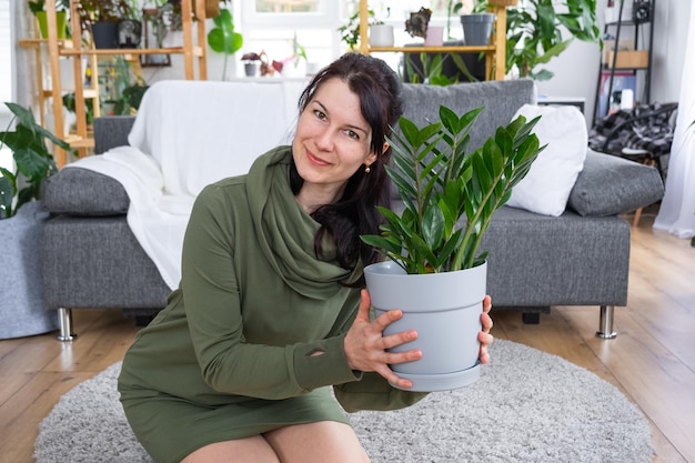국내 식물의 선반 컬렉션이있는 온실 내부에있는 여성의 손에있는 소박하고 인기있는 Zamioculcas 가정 작물 생산
