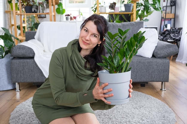 Unpretentious and popular Zamioculcas in the hands of a woman in the interior of a green house with shelving collections of domestic plants Home crop production