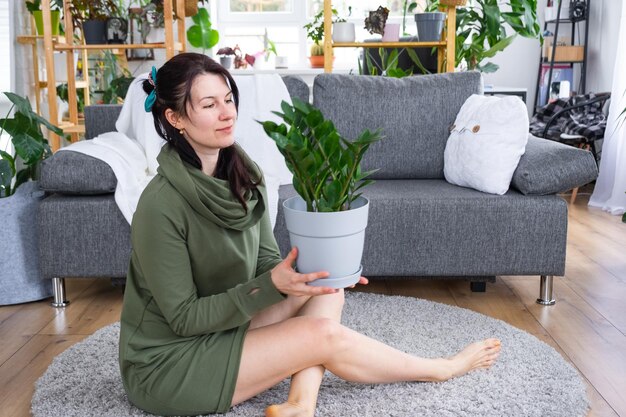 Unpretentious and popular Zamioculcas in the hands of a woman in the interior of a green house with shelving collections of domestic plants Home crop production