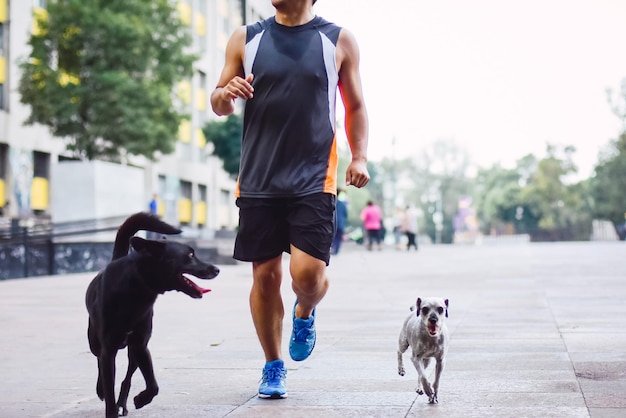 Unrecognizable athletic man jogging with his dogs