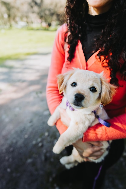 Unrecognizable curly brunette woman, embracing and holding with golden retriever puppy in the park