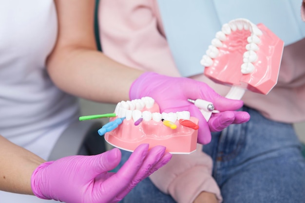 Dentista irriconoscibile che mostra al suo paziente come usare gli spazzolini interdentali sul modello dei denti