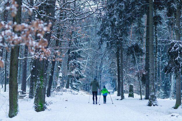 Unrecognizable father and son skiing in the woods view from the back winter sport activity