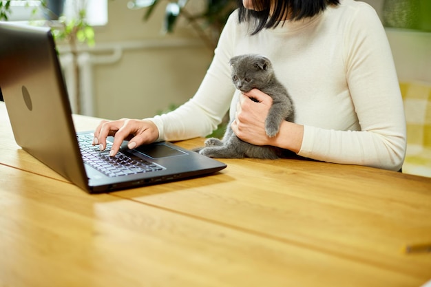 Unrecognizable hand Woman searching vet website on laptop to register cat kitten