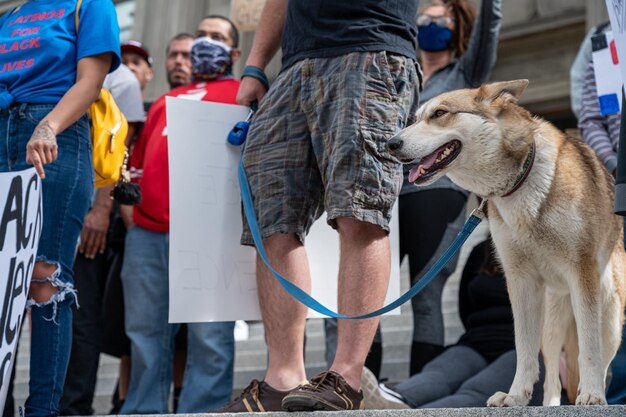 Фото Неузнаваемый мужчина с собакой на протесте фото