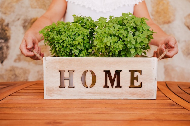 Photo unrecognizable middle age woman working with plants holding wooden box with fresh plants gardening
