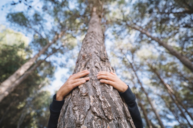 Unrecognizable person hugging tree