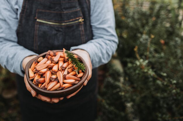 unrecognizable woman holding a clay bowl with chilean pine nuts, pehuen, araucaria tree fruit. Copy