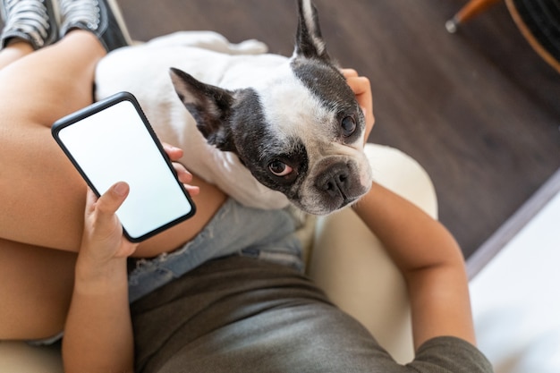 Unrecognizable woman with phone and dog at home. Horizontal top view of woman with white screen mockup.