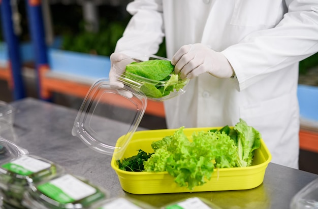 Foto lavoratore irriconoscibile con guanti che lavora in fattoria acquaponica, affari sostenibili e coronavirus.