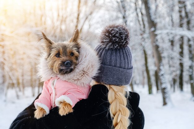 Unrecognized woman holds her dressed dog in her arms in winter outdoors on walk. Pet care concept.