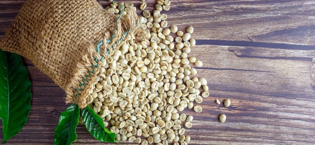 Unroasted green coffee beans in brown sacks on wooden background