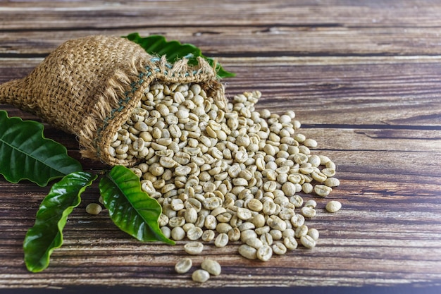 Unroasted green coffee beans in brown sacks