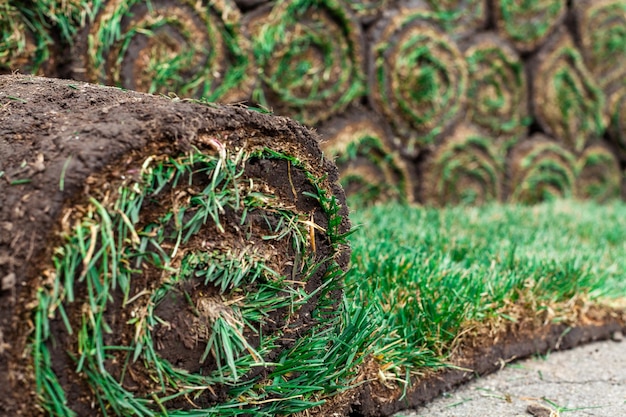 Photo unrolled green roll of lawn on the background of a stack of other rolls