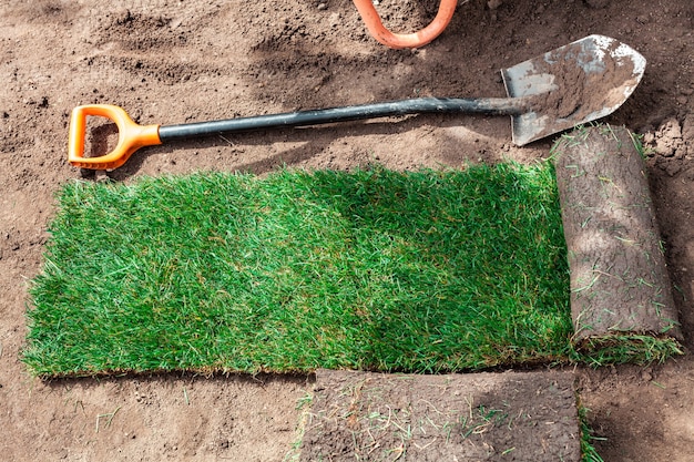 Unrolled green roll of lawn on the ground