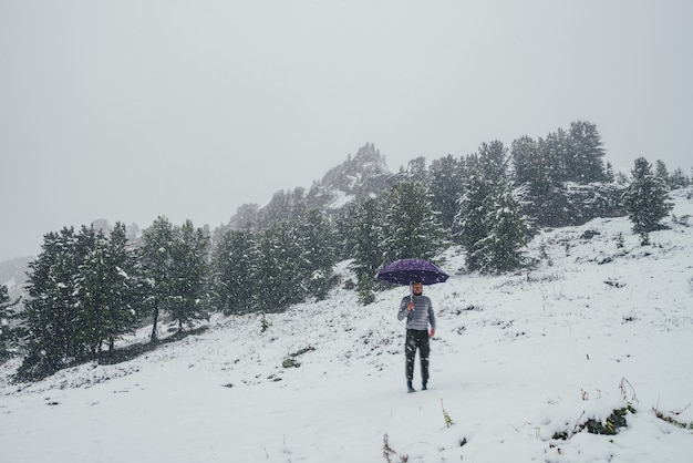 Unseasonable crazy guy with violet umbrella stands on snowy\
mountain in snowfall on background of coniferous forest and sharp\
rocks. mad man in winter on snow-covered hill with umbrella in\
blizzard.