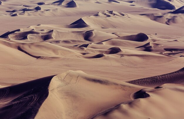 외딴 사막의 때묻지 않은 모래 언덕
