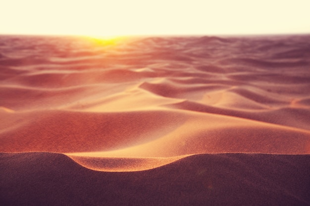 Foto dune di sabbia incontaminate nel deserto remoto