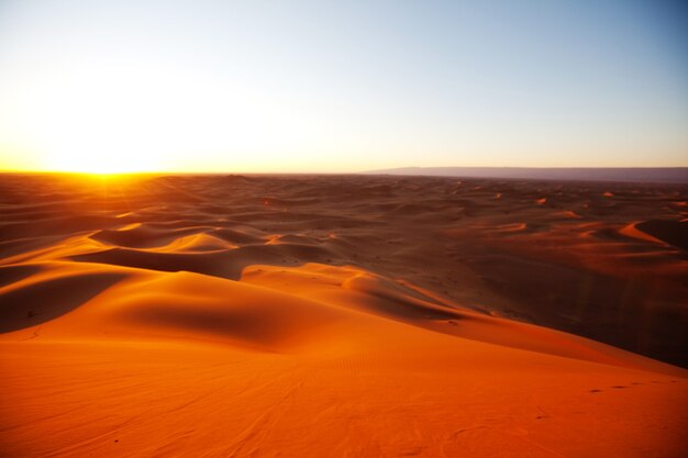 Unspoiled sand dunes in the remote desert