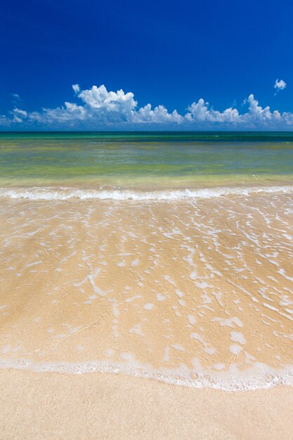 Foto spiaggia tropicale incontaminata in sri lanka