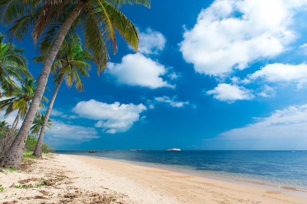 Untouched tropical beach in Sri Lanka