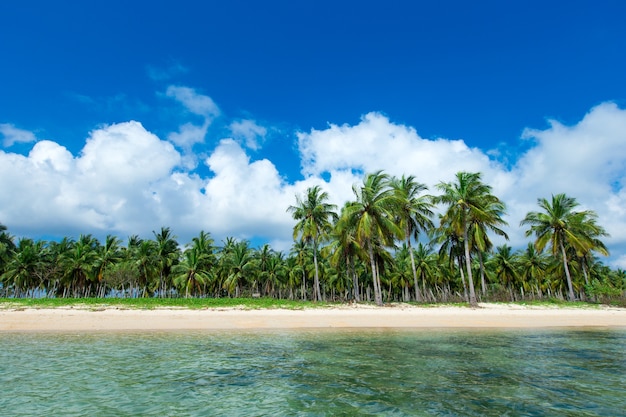 スリランカの手つかずの熱帯のビーチ