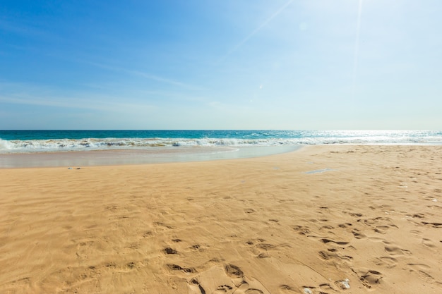 Untouched tropical beach