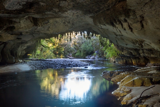 Insoliti paesaggi di grotte in nuova zelanda