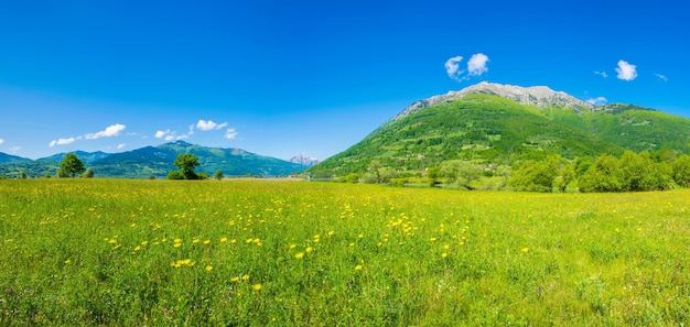 Unusual lake plav among the picturesque mountain peaks of montenegro