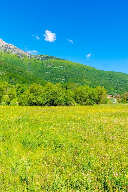 Unusual lake Plav among the picturesque mountain peaks of Montenegro