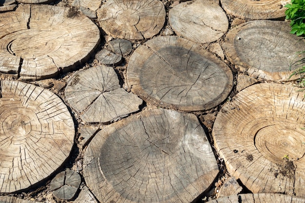 An unusual path made of round wood