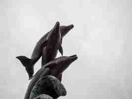 Photo unusual sculpture of dolphins against the sky beautiful mammal statue