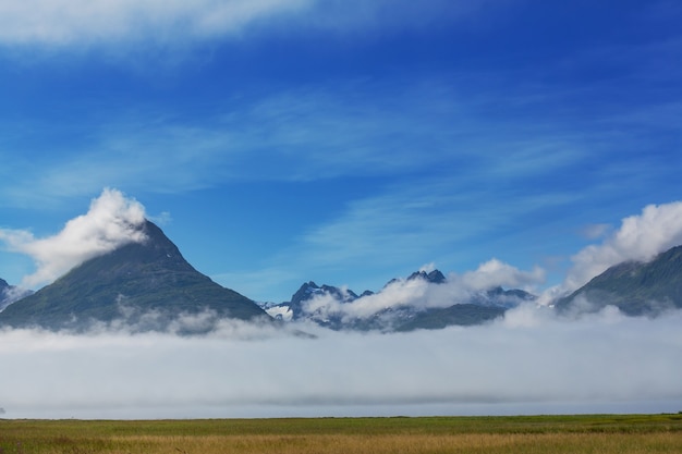 アメリカ合衆国、アラスカの珍しい夏の風景。