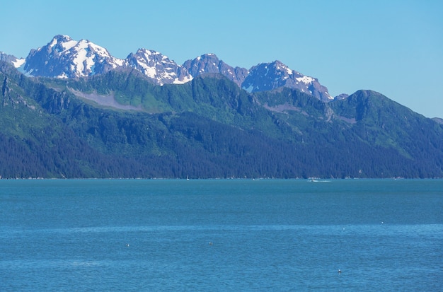 アメリカ合衆国、アラスカの珍しい夏の風景。