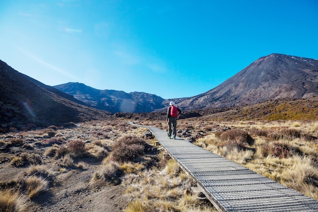 Paesaggi vulcanici insoliti sulla pista dell'incrocio di tongariro, parco nazionale di tongariro, nuova zelanda. concetto di voglia di viaggiare