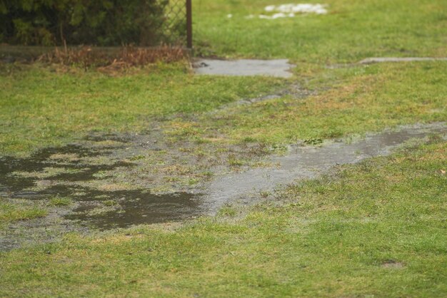 Photo unveiling the impact of standing water on hydrophobic soil erosion and water damage